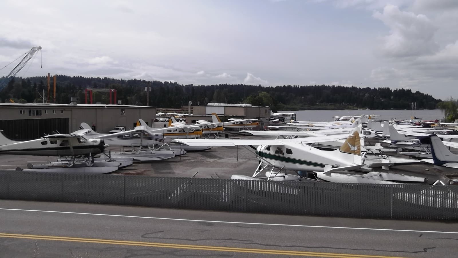 Seaplanes at Kenmore Air Harbor on Lake Washington